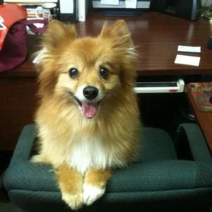 Meet your Posher, Cindy